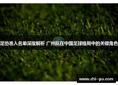 足协准入名单深度解析 广州队在中国足球格局中的关键角色