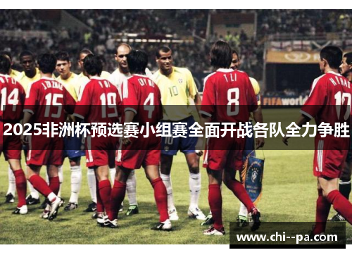 2025非洲杯预选赛小组赛全面开战各队全力争胜